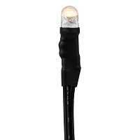 L-54/LEDWW